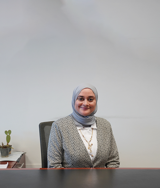Dr. Lobna A. Saeed 